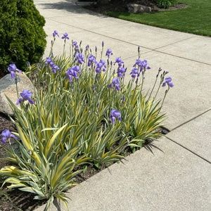 Meet your Posher, Hailey